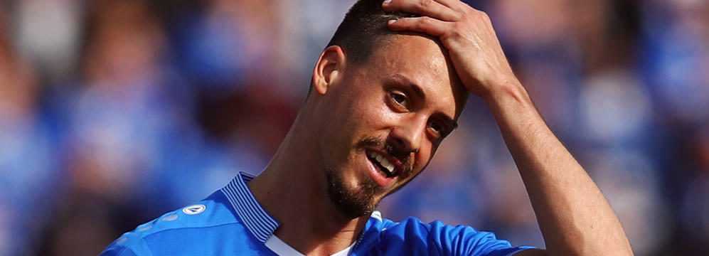 Sandro Wagner TSG 1899 Hoffenheim